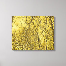 Lienzo Forest Aglow