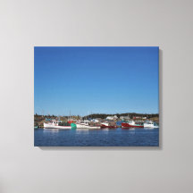 Forma de vida de Nova Scotian