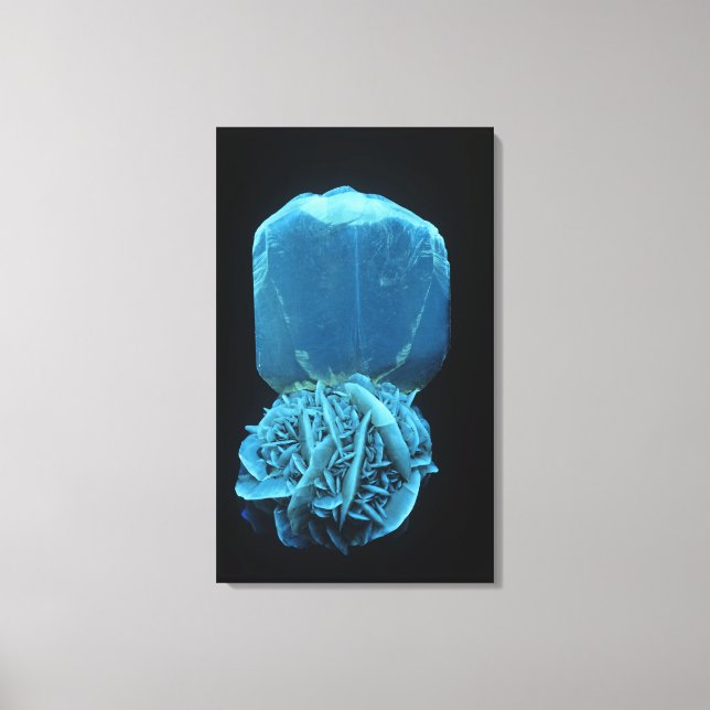 Lienzo Forma selenita de Gypsum, un fo mineral fluorescen (Anverso)