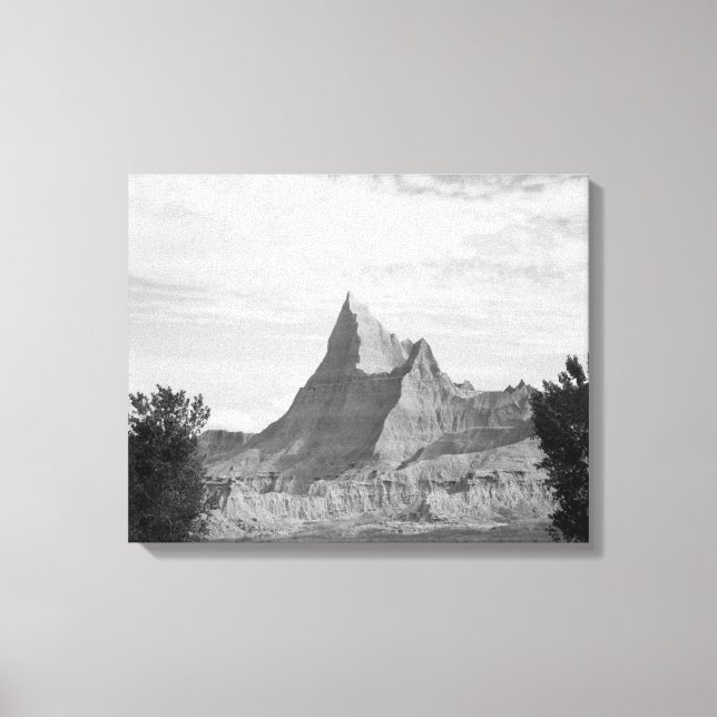 Lienzo Formación de jaranjas en blanco y negro en Badland (Anverso)