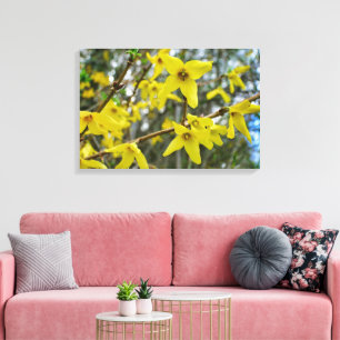 Lienzo Forsythia en primavera