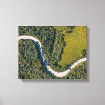 foto aérea de árboles durante el día