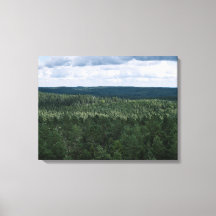 Foto aérea de bosque y nubes paisaje natural