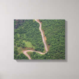 Lienzo Foto aérea del bosque