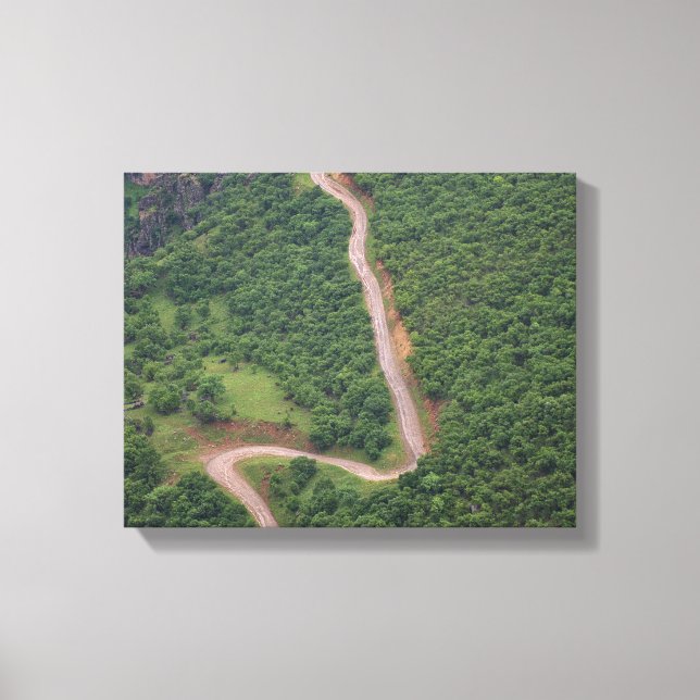 Lienzo Foto aérea del bosque (Anverso)