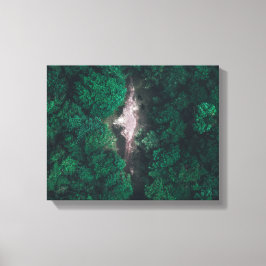 Lienzo Foto aérea del bosque verde