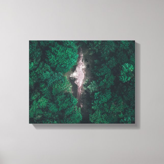 Lienzo Foto aérea del bosque verde (Anverso)