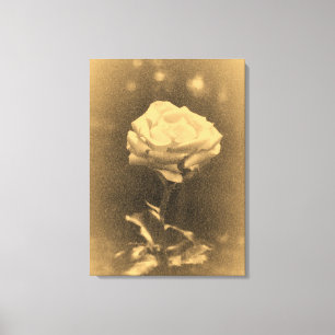 Lienzo Foto antigua, hermosa rosa rosada de cerca