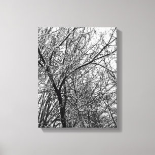 Lienzo Foto artística en B/N de nieve en ramas de árboles
