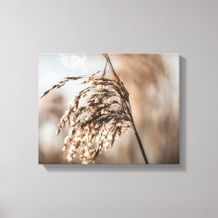 Lienzo Foto común de la naturaleza de la red