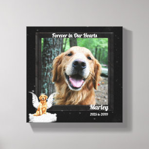 Lienzo Foto conmemorativa del Mascota Angel Dog 8 x 8 de