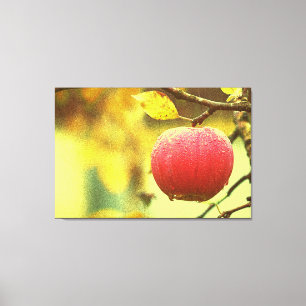 Lienzo Foto Cute "Red Apple". ¡Hazte con una en Zazzle