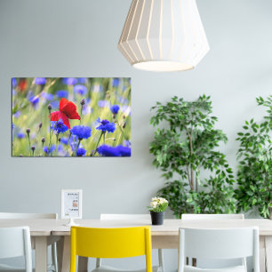 Lienzo Foto de amapolas silvestres rojas