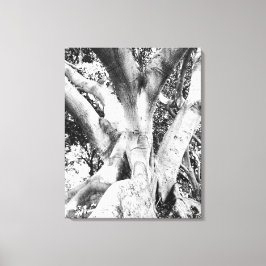 Lienzo Foto de árbol - Negro y árbol blanco Monocromo gru