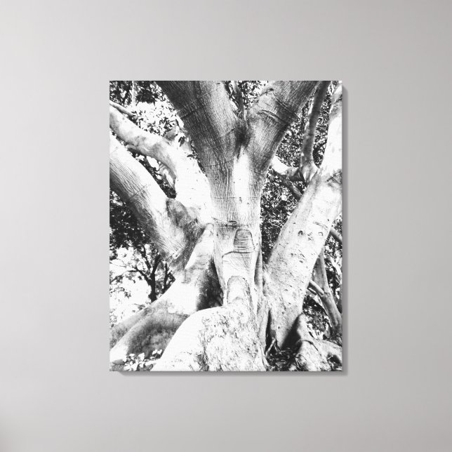 Lienzo Foto de árbol - Negro y árbol blanco Monocromo gru (Anverso)