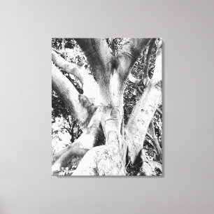 Lienzo Foto de árbol - Negro y árbol blanco Monocromo gru