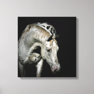 Lienzo Foto de Caballo de Appaloosa