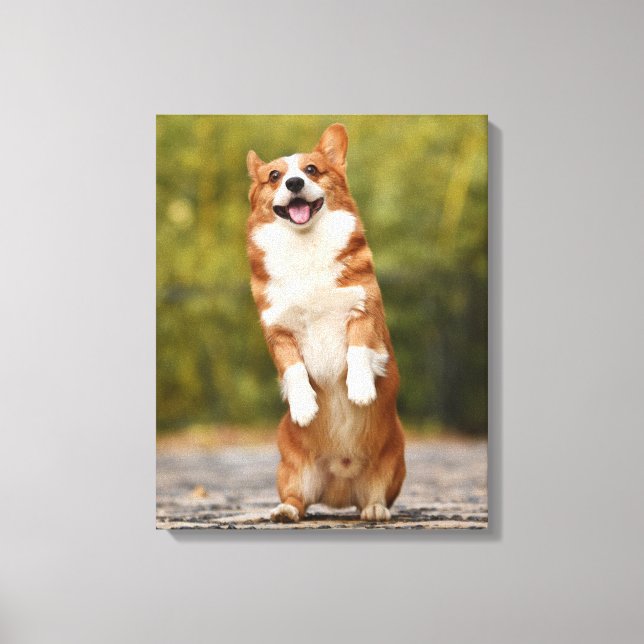 Lienzo Foto de cachorro corgi feliz de pie (Anverso)