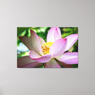 Lienzo Foto de cerca de una flor de loto