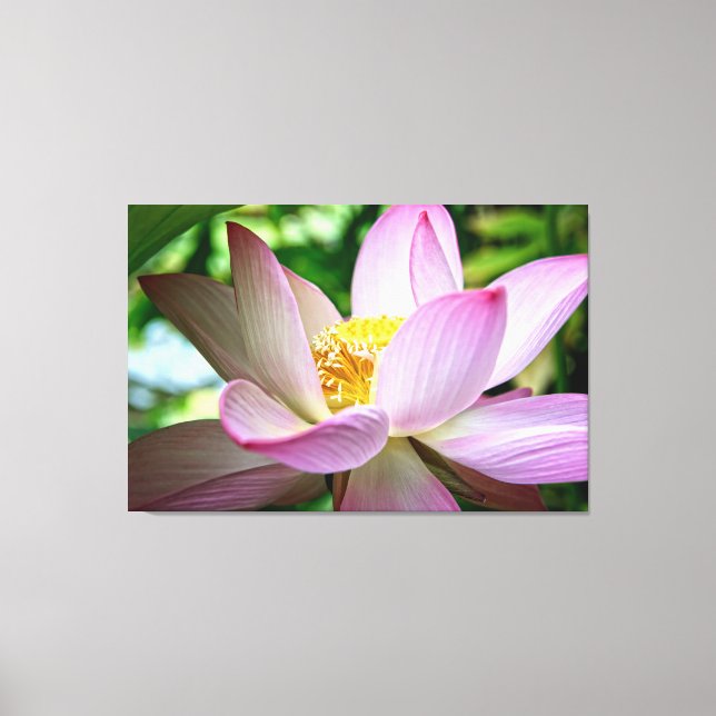 Lienzo Foto de cerca de una flor de loto (Anverso)
