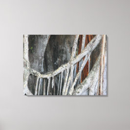 Lienzo Foto de cierre de árbol de Banyan