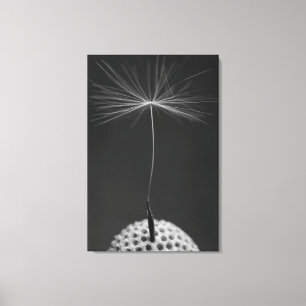 Lienzo Foto de Dandelion Seed en Canvas