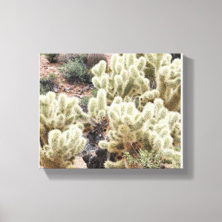 Lienzo Foto de Desert Radiance Cholla Cactus