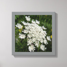 Lienzo Foto de encaje de la reina blanca Ann de 12" x 12"