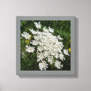 Lienzo Foto de encaje de la reina blanca Ann de 12" x 12"