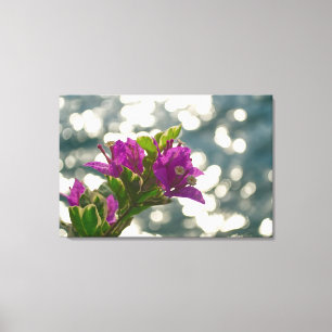 Lienzo Foto de Flor de Brillo Solar Bokeh de Buganvilla
