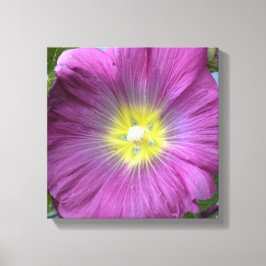 Lienzo Foto de flor rosa Reproducción única