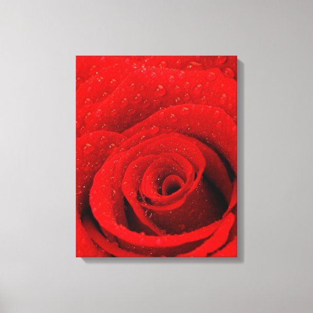 Lienzo Foto de fondo de la Rosa Roja (Anverso)