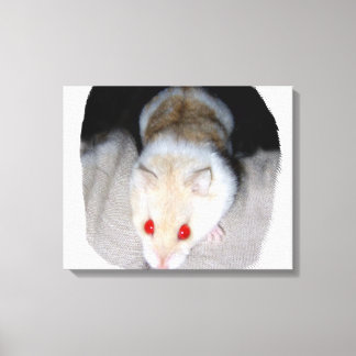 Lienzo Foto de hámster albino blanco y rubio