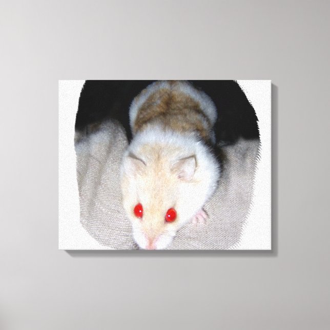Lienzo Foto de hámster albino blanco y rubio (Anverso)