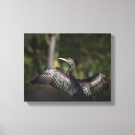 Lienzo Foto de la naturaleza de Cormorant
