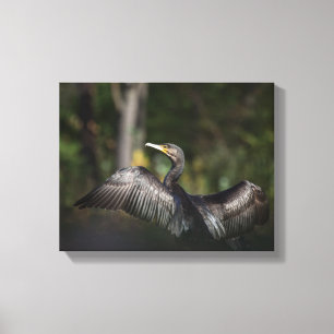 Lienzo Foto de la naturaleza de Cormorant