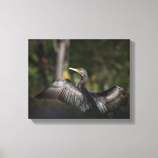 Lienzo Foto de la naturaleza de Cormorant (Anverso)