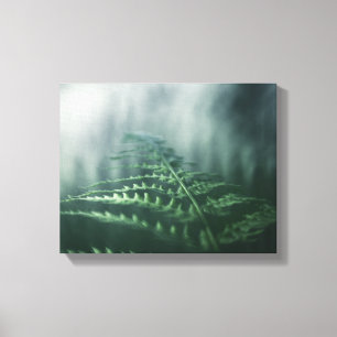 Lienzo Foto de la naturaleza de Dark Moody Fern