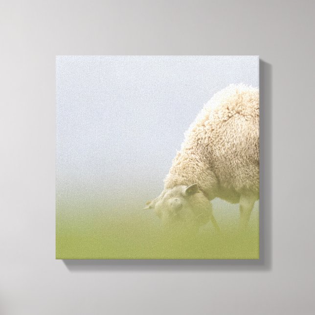 Lienzo Foto de la naturaleza de la oveja de moda (Anverso)