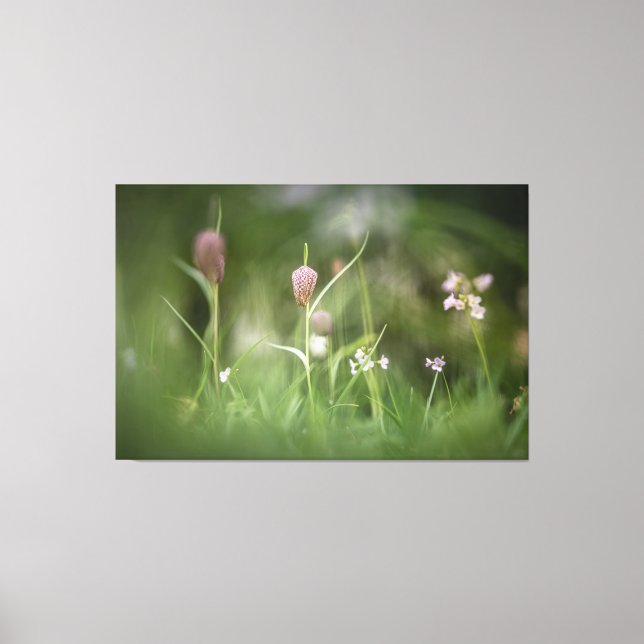 Lienzo Foto de la naturaleza de las flores de ajedrez (Anverso)