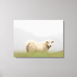 Lienzo Foto de la naturaleza de las ovejas