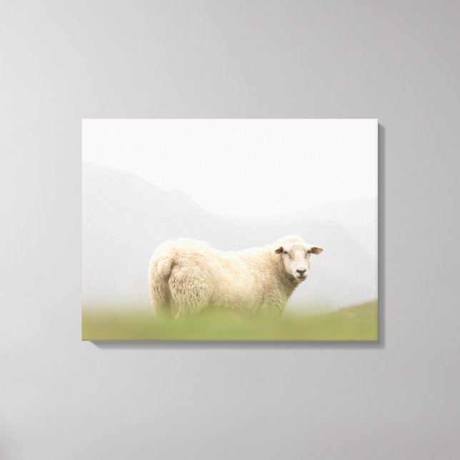 Lienzo Foto de la naturaleza de las ovejas (Anverso)