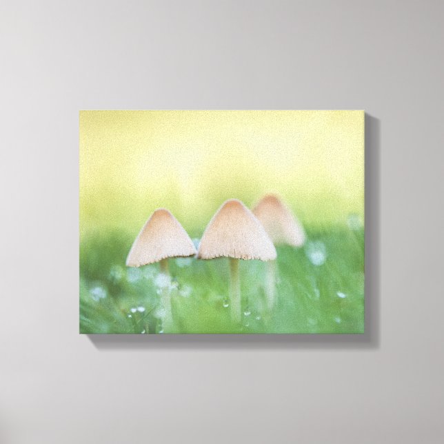 Lienzo Foto de la naturaleza de los hongos pequeños (Anverso)