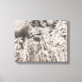 Lienzo Foto de la naturaleza de Reed