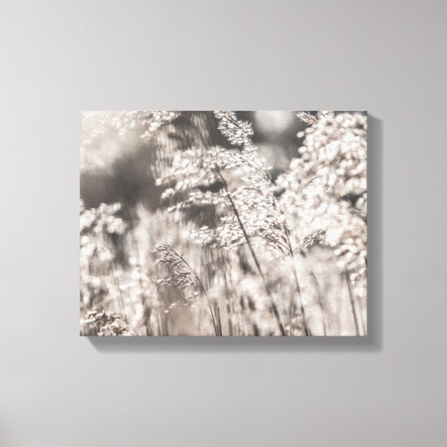 Lienzo Foto de la naturaleza de Reed (Anverso)