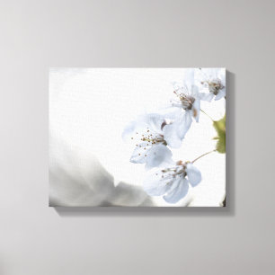 Lienzo Foto de la naturaleza del cerezo en flor