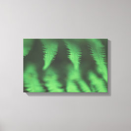 Lienzo Foto de la naturaleza del Fern verde