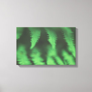 Lienzo Foto de la naturaleza del Fern verde