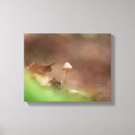 Lienzo Foto de la naturaleza del hongo pequeño