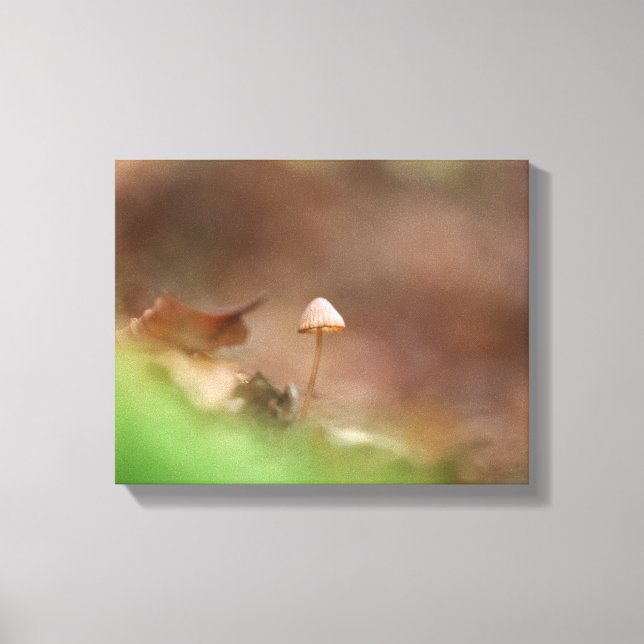 Lienzo Foto de la naturaleza del hongo pequeño (Anverso)